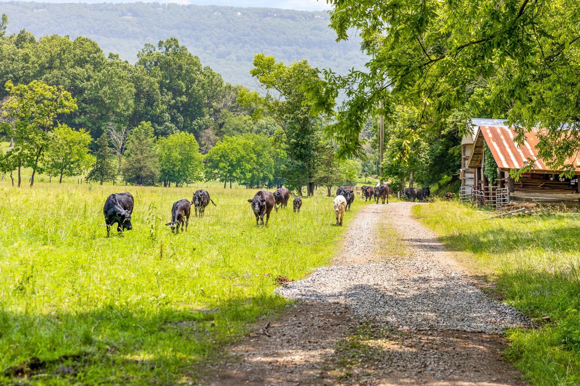 Quail Run Farm Pool Home 查塔努加 外观 照片